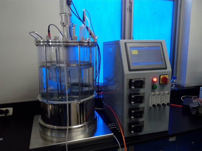 ϸ�����͹�