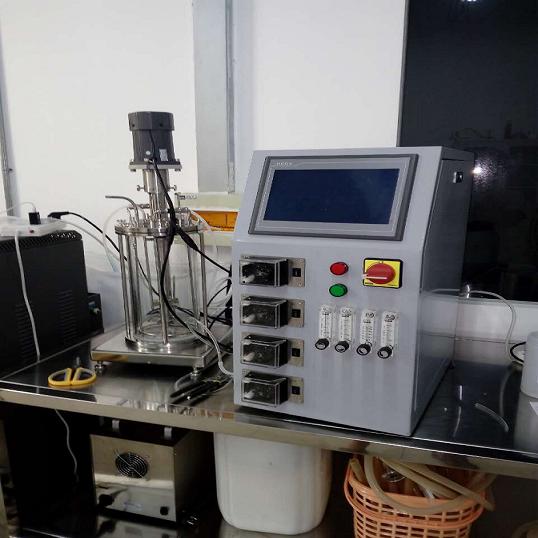 5�����͹�