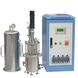 �������͹�