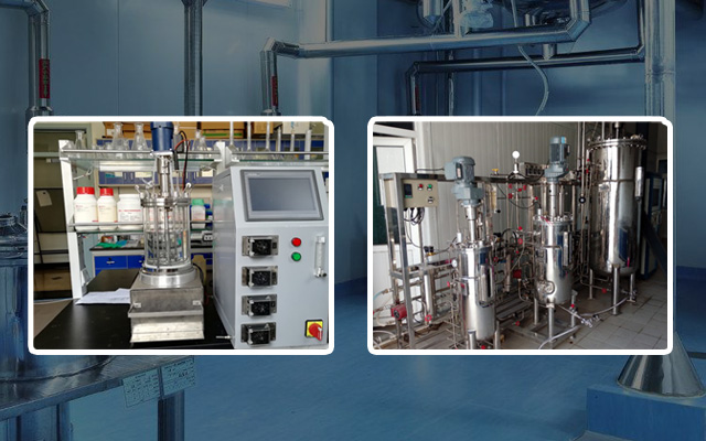 ʵ���ҷ��͹�